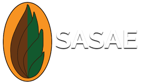 Sasae